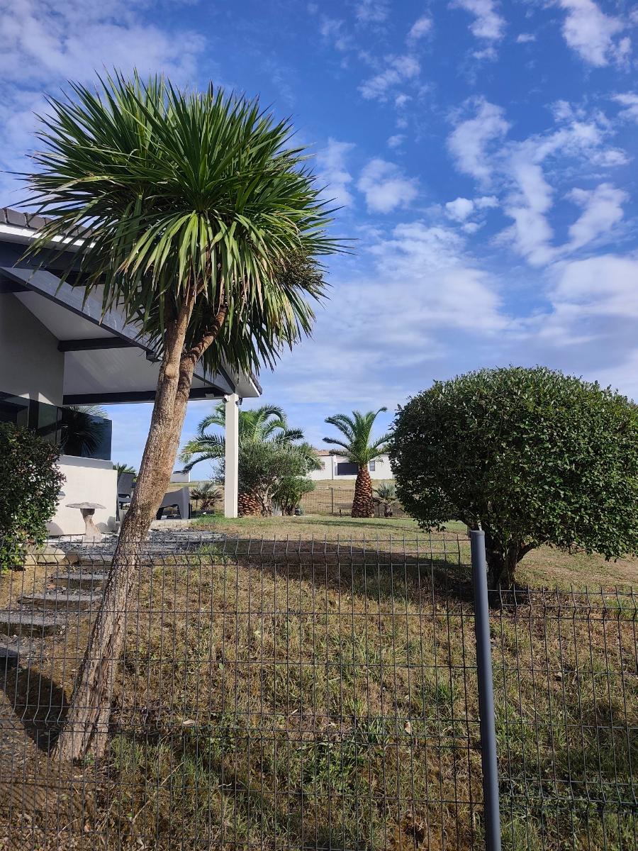 Chantier d'entretien de jardin réalisé par Jardilence, paysagiste du réseau Factotum, près de Fourques-sur-Garonne