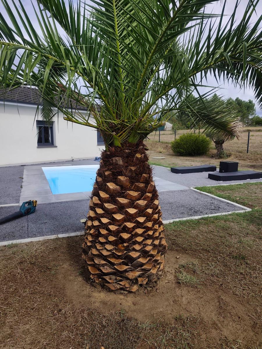 Chantier d'entretien de jardin réalisé par Jardilence, paysagiste du réseau Factotum, près de Fourques-sur-Garonne
